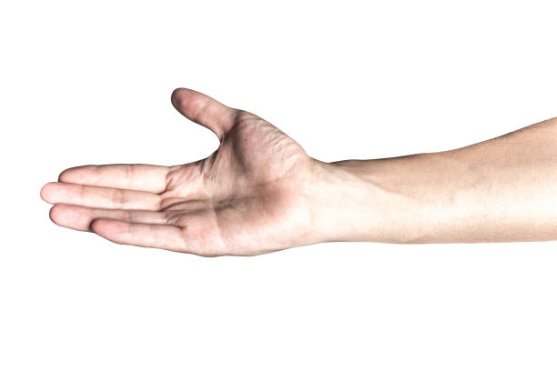 istock Hand open and ready to help or receive. Gesture isolated on white background with clipping path. 945661996