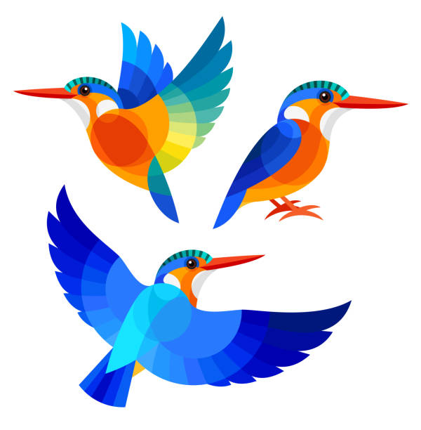 Stylized Birds Stylized Birds - Malachite Kingfisher kingfisher stock illustrations
