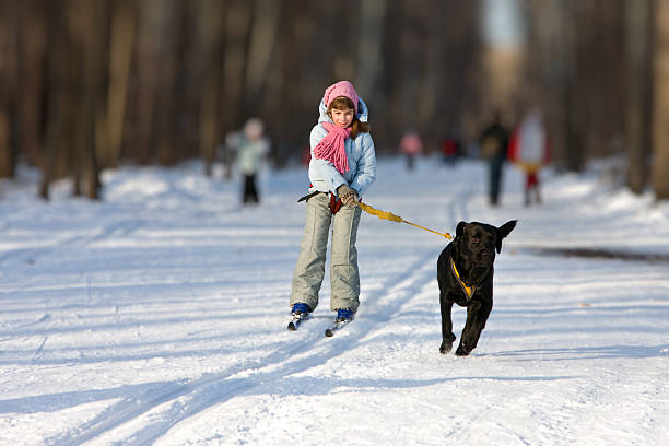 Little girl pulling wooden sledge with teddy bear on white snow at town sidewalk. Enjoying winter day. Back view.