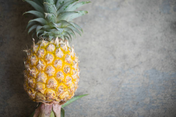 Whole pineapple fruit on grey concrete background