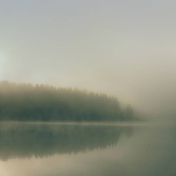 istock Beautiful landscape with misty lake at the morning 945682802