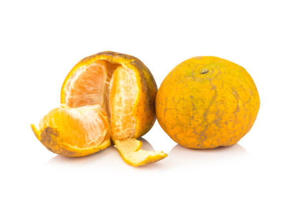 istock orange. rotten. dirty. ripe. peel. isolated on white background 945686020