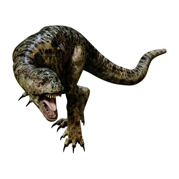 istock 3D illustration dinosaur Tyrannosaurus hatchling on white 945690038