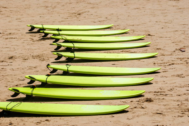 istock surf boards on a beach. lined up in the sand. 945729102