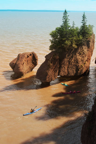 istock Kayakers at Hopewell Rocks 945734482