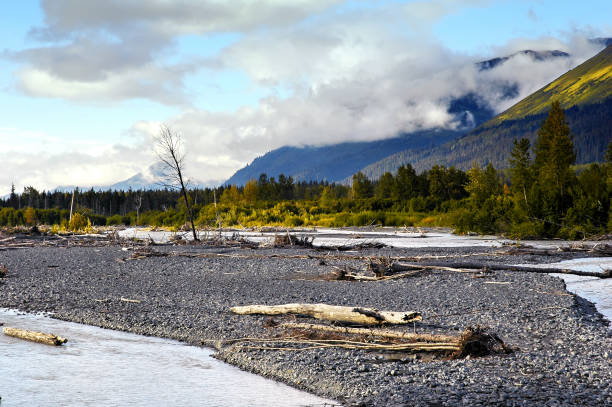 Beautiful landscape with river, driftwood and view on the Chugach Mountains.