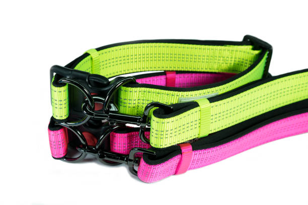 istock Pet accessories concept. Pet collars and leashes on isolated white background. 945742294