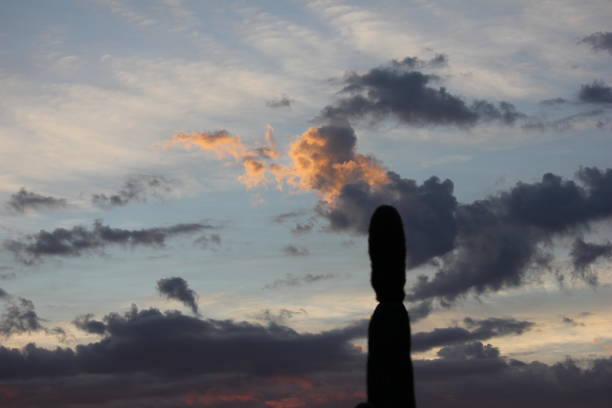 From cold, high-desert mountains in the north to subtropical desert lowlands in the south, Arizona presents a variety of discrete desert ecosystems, each providing habitat for numerous species of cacti. Cactus.