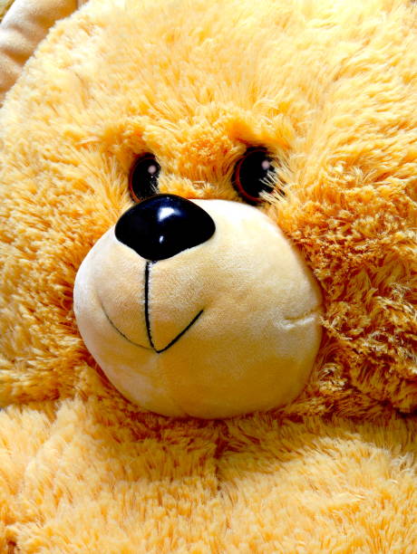 istock close-up of stuffed toy bear 945755450