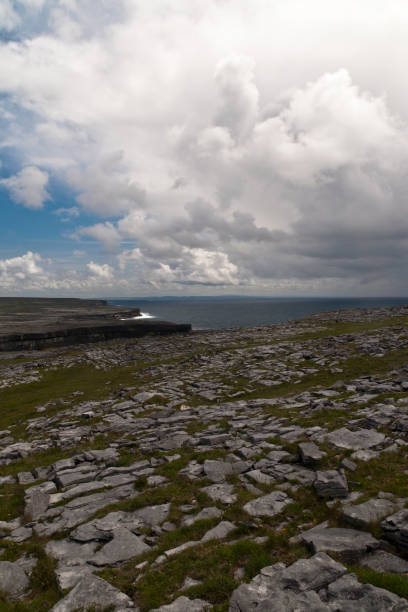 Karst Landscape with Cliffs West from Dun Aonghasa A dramatic landscape, the view west from Dun Aonghasa.  The karst formation and cliffs of Inishmore under the clouds of a gathering spring storm.  Inishmore, Aran Islands, County Galway, Ireland. michael stephen wills aran stock pictures, royalty-free photos & images