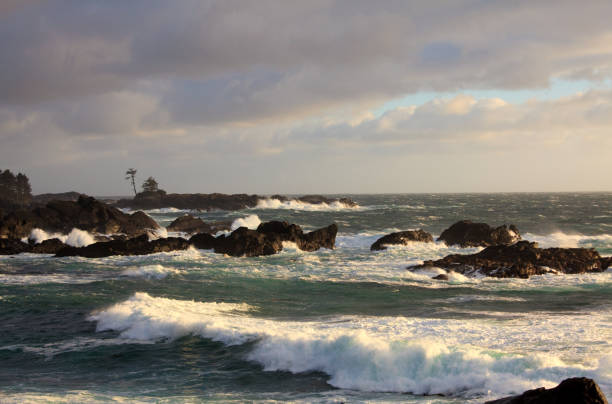 istock Storm on the British Columbia West Coast 945766422