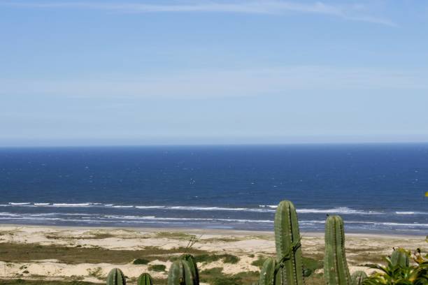 istock The beach of Morro dos Conventos 945777002