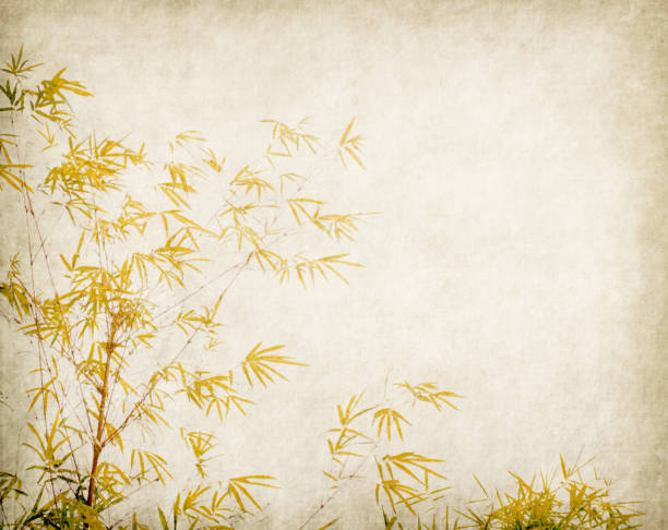 istock Bamboo on old grunge paper texture background 945783222