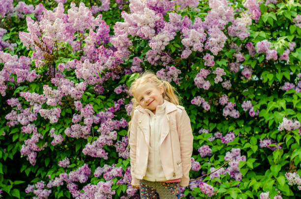 beautiful lovely girl with long hair and blossoming lilac little girl with huge lilac bush in spring nature holding child flower april stock pictures, royalty-free photos & images