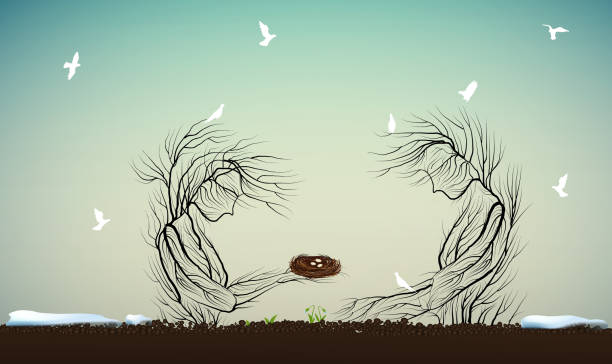 spring character tree concept, two tree silhouette one holding nest with eggs another white birds, spring come, tree alive idea, spring character tree concept, two tree silhouette one holding nest with eggs another white birds, spring come, tree alive idea, vector pigeon nest stock illustrations