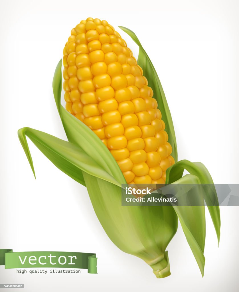 Bắp Ngô Biểu Tượng Vector 3d Hình minh họa Sẵn có - Tải xuống Hình ...