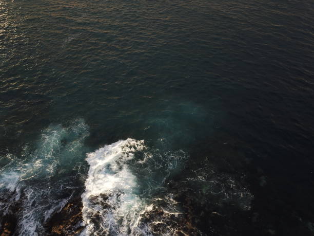 The deep blue Pacific ocean along the California coast at Point Reyes National Seashore.