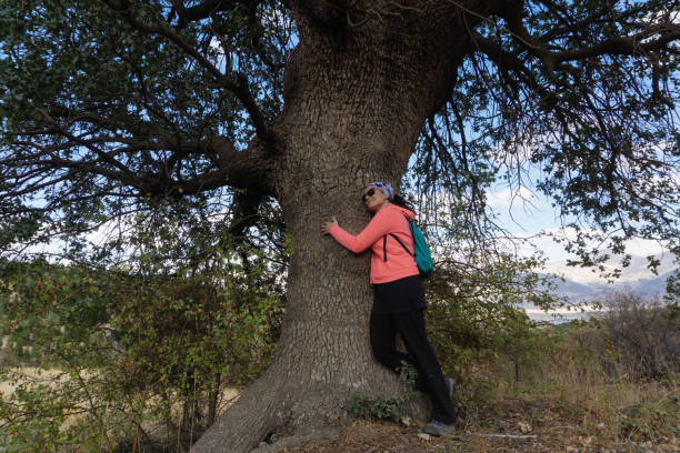 istock Cheerful young woman embracing a tree in the forest 945826486