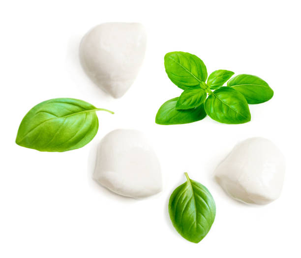 istock Mozzarella cheese and basil leaf  isolated on white background. Top view