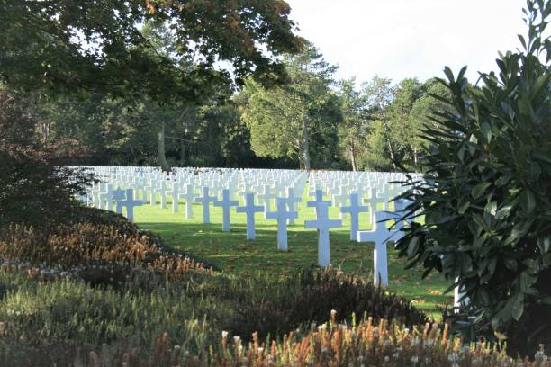 istock alignment of white crosses at the American Cemetery 945838108