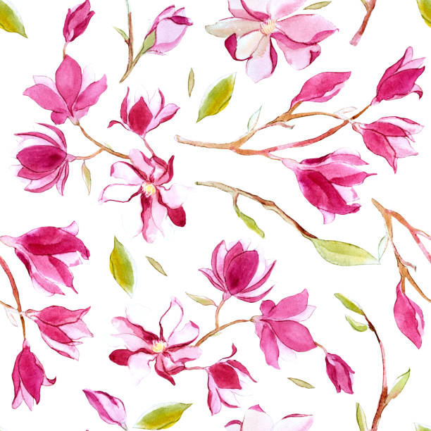 istock Seamless pattern of watercolor romantic magnolia flower isolated on white background 945843404