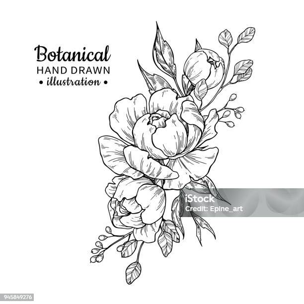 Vintage Flower Bouquet Vector Drawing Peony Rose Leaves And Berry Sketch Stock Illustration - Download Image Now