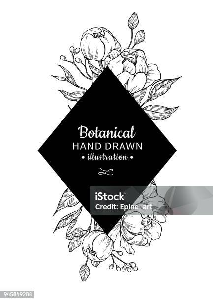 Vintage Flower Vector Frame Drawing Peony Rose Leaves And Ber Stock Illustration - Download Image Now