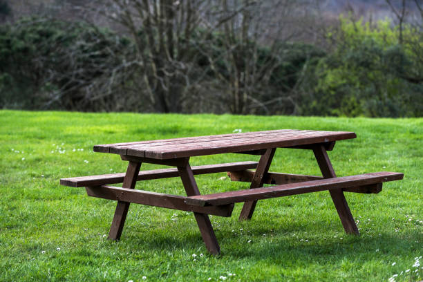 istock Wooden picnic table and bench in garden 945853448