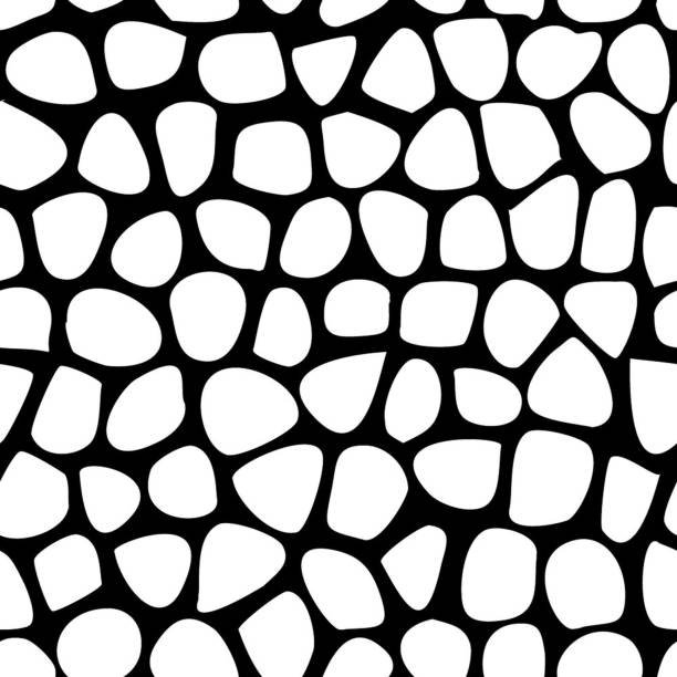 Cow seamless pattern Black and white giraffe skin. Cow seamless pattern n11 stock illustrations