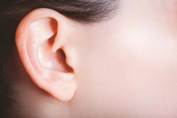 Female ear and part of a cheek viewed from a side.