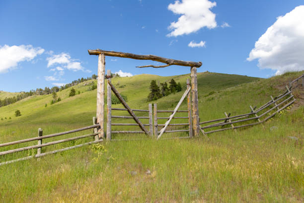 istock Lush, Green Hillside with Wood Fence and Gate 945865282