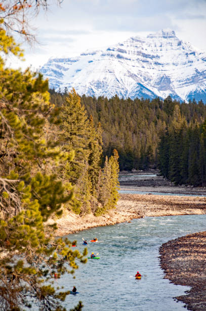istock The Athabasca River in Jasper National Park summer 945870420