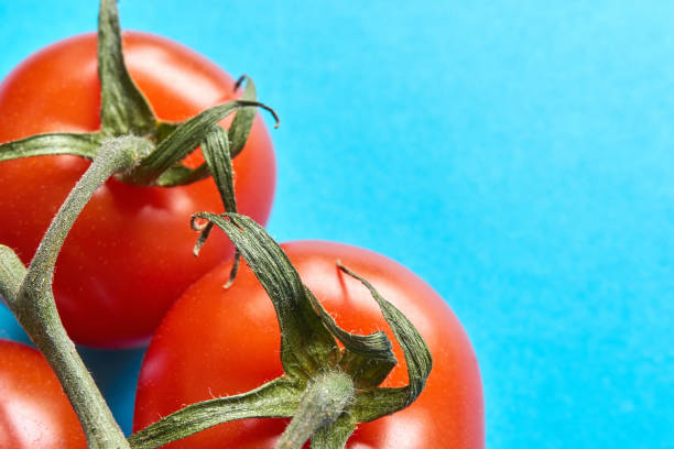 istock Red tomatoes on stem against a blue background 945872746
