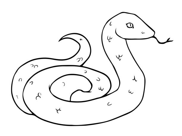 illustrazioni stock, clip art, cartoni animati e icone di tendenza di cartone animato illustrazione in bianco e nero del serpente - snake white curled up animal