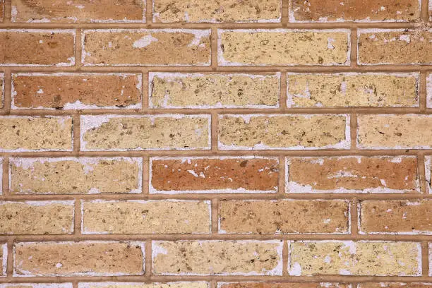 Brick wall from brown clay brick with white efflorescence, texture for background.