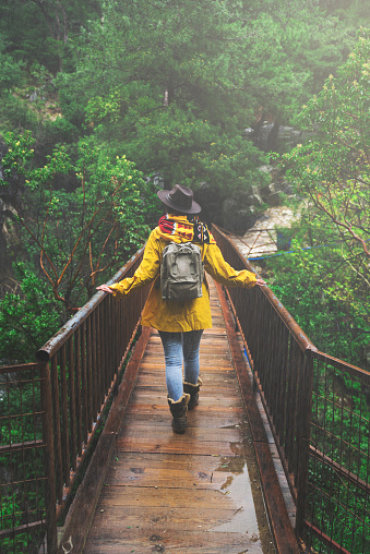 Young woman wearing yellow raincoat and backpack hiking in the forest on a rainy day, walking over bridge