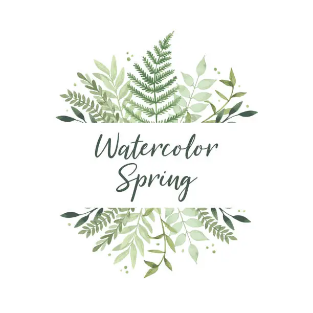 Vector illustration of Vector watercolor illustration. Spring is coming. Botanical frame with green leaves, branches and herbs. Floral Design elements. Perfect for invitations, greeting cards, prints, posters, packing