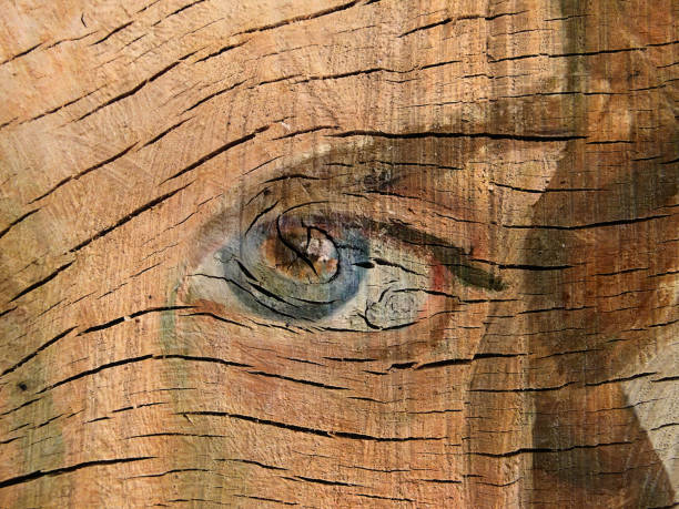 Textured and Painted Eye on Wood