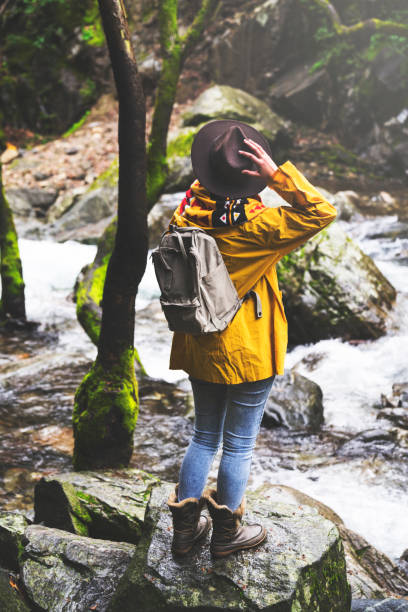 istock Solo traveler hiking in the forest 945886216