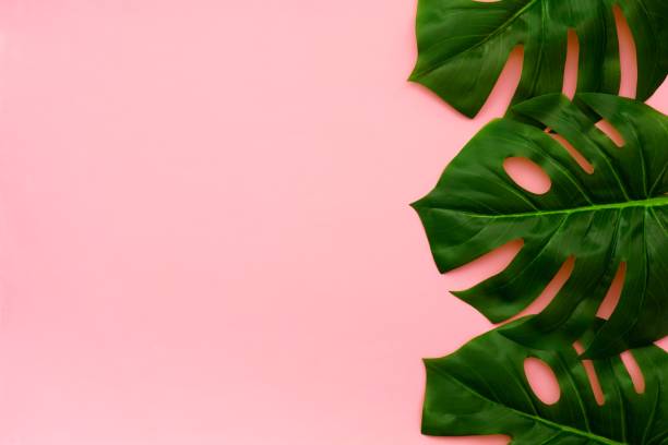 istock Tropical palm leaves top view side border on a pink background 945893004
