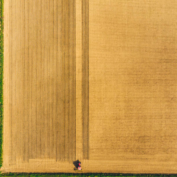 istock Spring sowing season in Turkey 945898068