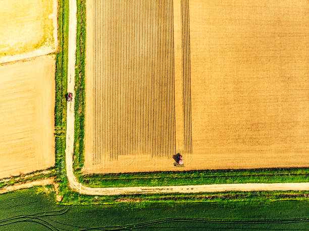 istock Spring sowing season in Turkey 945898116