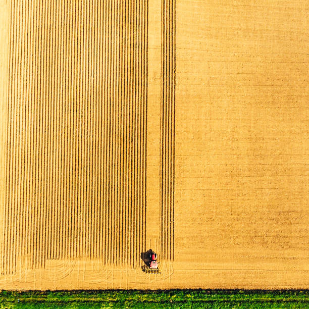 istock Spring sowing season in Turkey 945898118