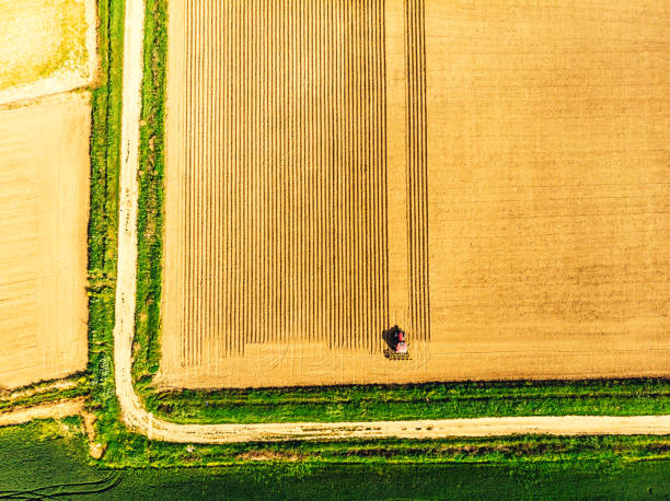 istock Spring sowing season in Turkey 945898158