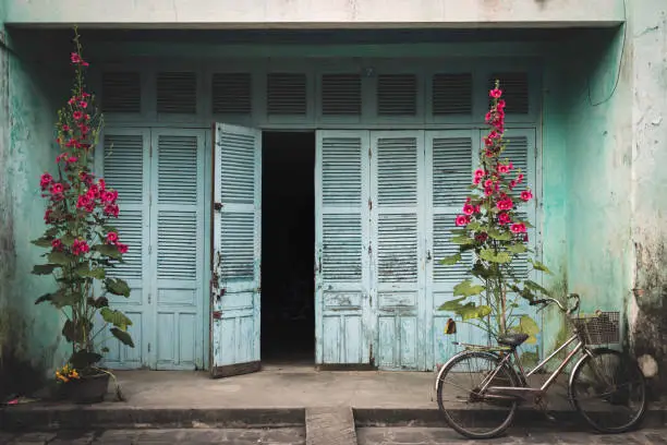 Blue doorway of a house, semi open, with a bicycle leaning against 1 of two vases with a beautiful flower.
This photo was taken at dawn on the streets of the ancient city of Hoi Han