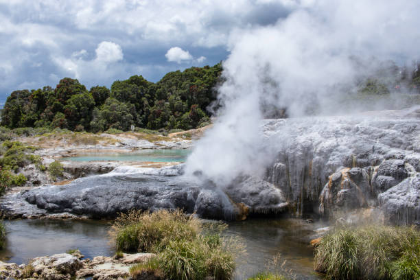Te puia near rotorua new zealand day trip vacation Te Puia is home to the New Zealand Māori Arts and Crafts Insitute and Pohutu geyser. fumarole photos stock pictures, royalty-free photos & images