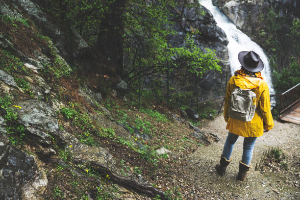 istock Solo traveler hiking in the forest 945902326