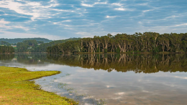 Waterscape at the Lagoon with Trees, Clouds and Reflections Capturing the sunrise from Avoca Lagoon on the Central Coast, NSW, Australia. avoca beach photos stock pictures, royalty-free photos & images