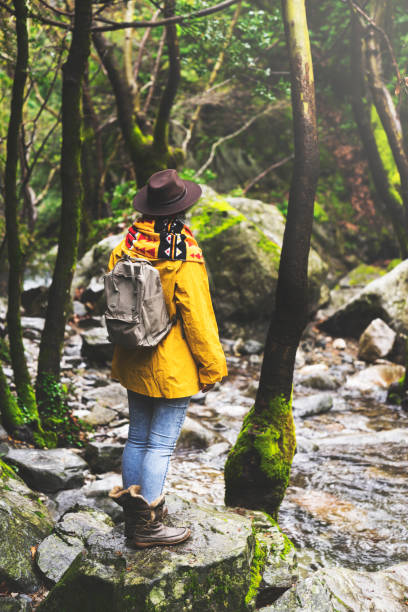 istock Solo traveler hiking in the forest 945910508