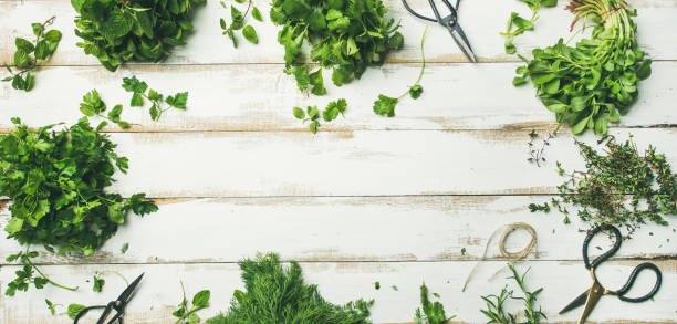 istock Various fresh green kitchen herbs over wooden background, wide composition 945916274